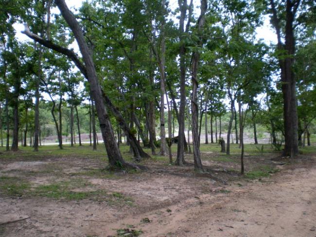 SANY6899.jpg